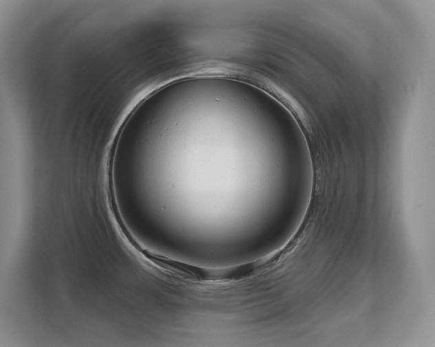 X0000111641483200907171537