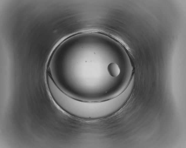X0000111641484200907171537