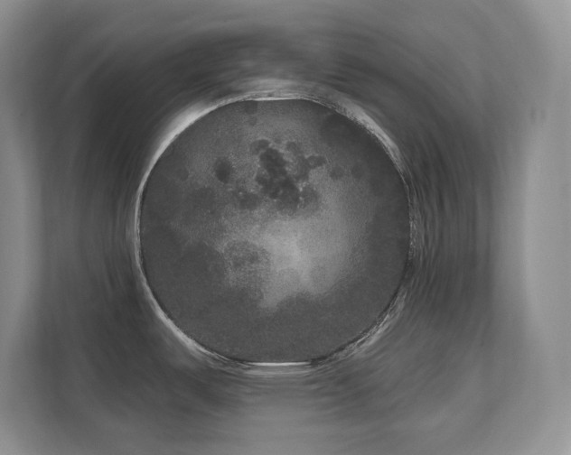 X0000111641487200907171537