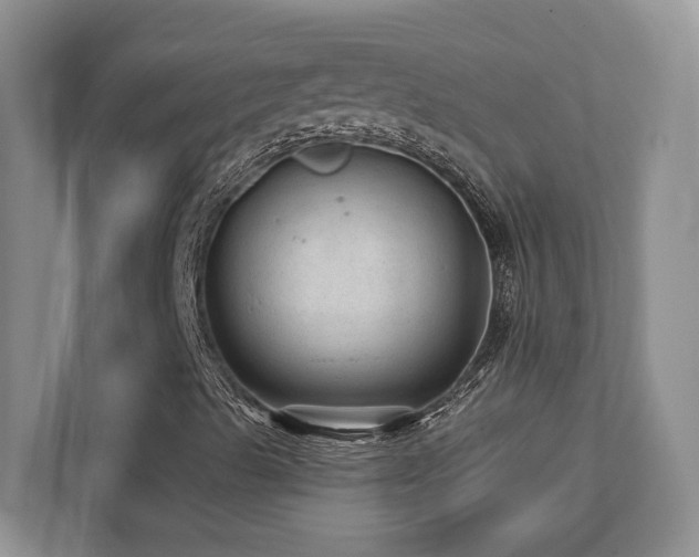 X0000111641489200907171536