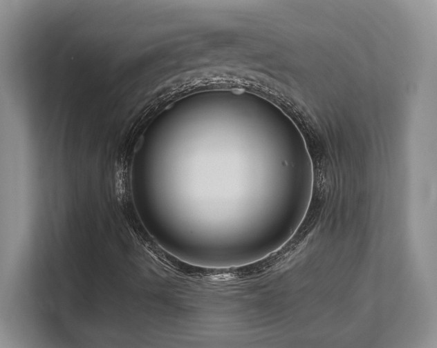 X0000111641490200907171536