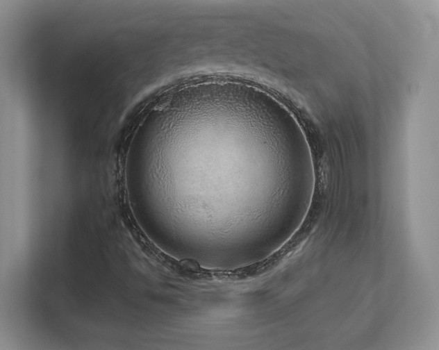 X0000111641494200907171536