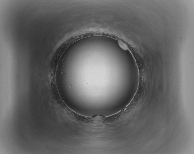 X0000111641495200907171536