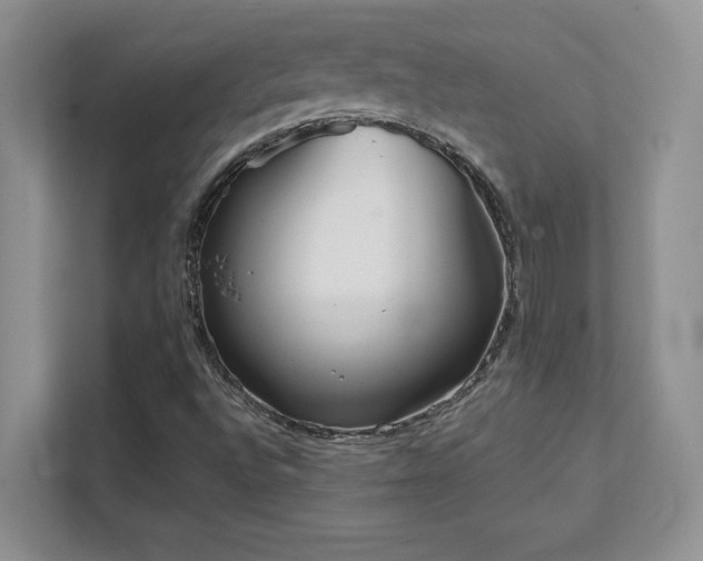 X0000111641496200907171536