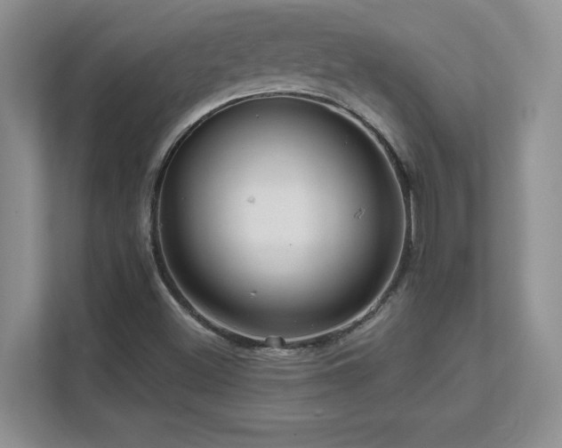 X0000111641500200907171536
