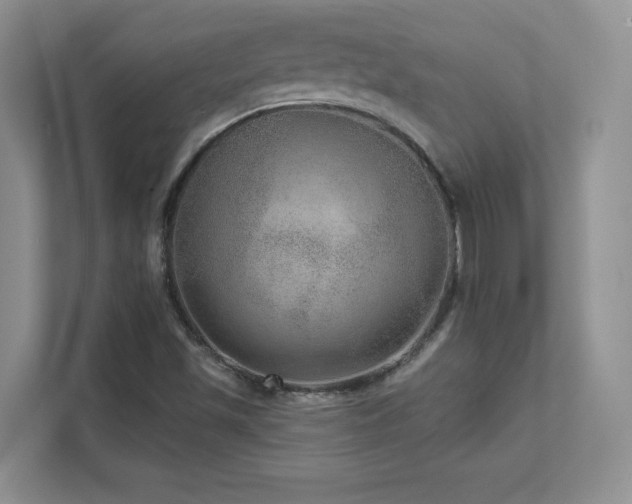X0000111641501200907171536