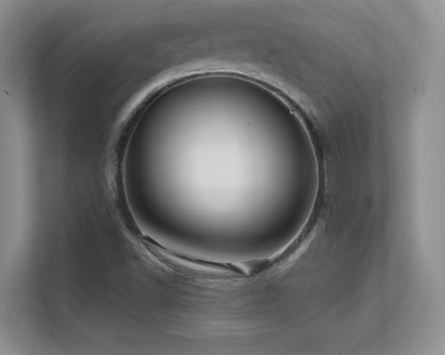 X0000111641502200907171536