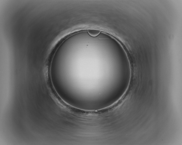 X0000111641503200907171536
