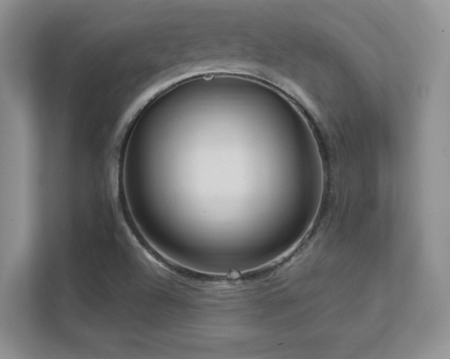 X0000111641504200907171536