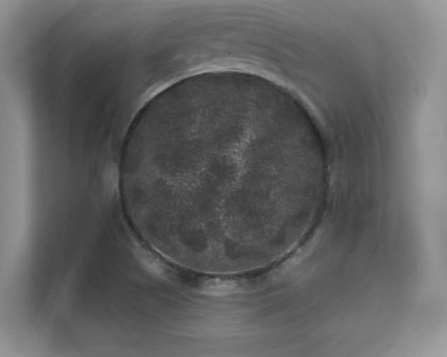 X0000111641505200907171536