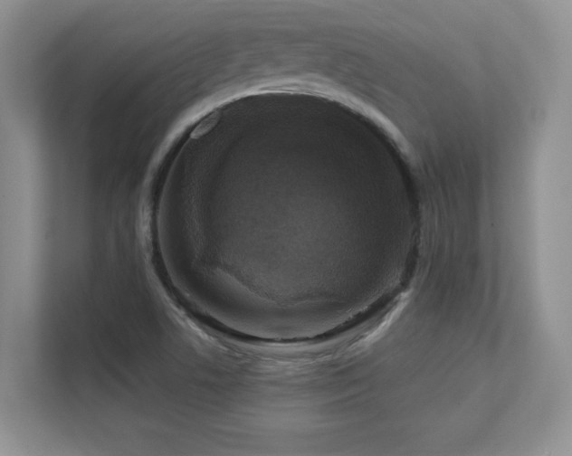X0000111641506200907171536