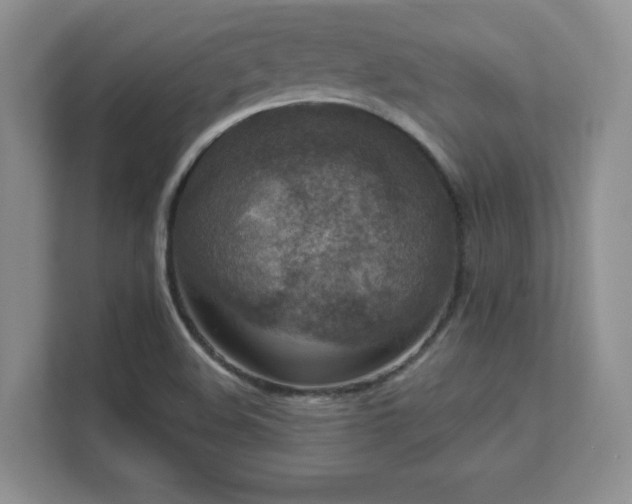 X0000111641508200907171536