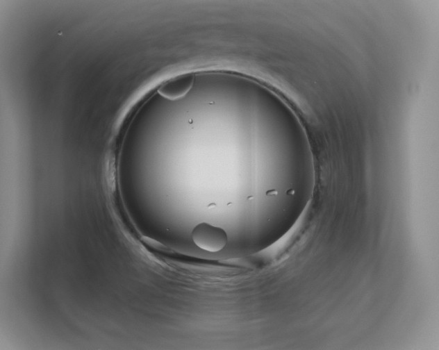 X0000111641510200907171536