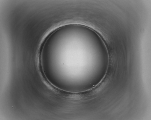 X0000111641511200907171536