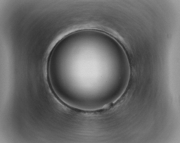 X0000111641512200907171536