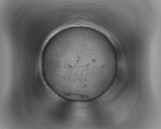 X0000111641514200907171536