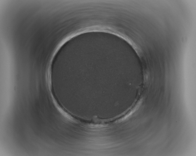 X0000111641515200907171536