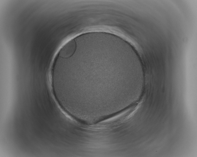 X0000111641517200907171536