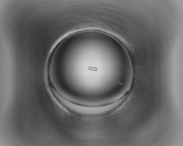 X0000111641518200907171536