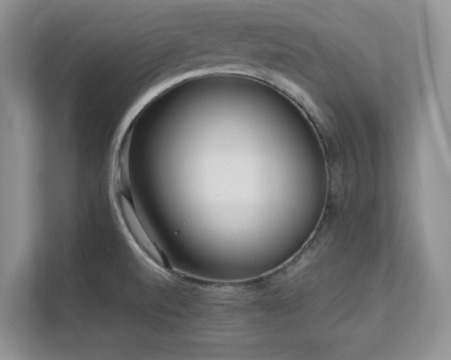 X0000111641520200907171536