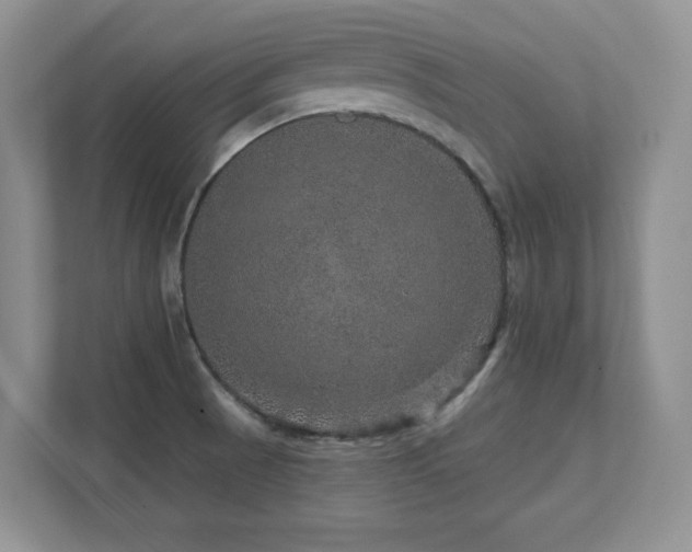 X0000111641521200907171536