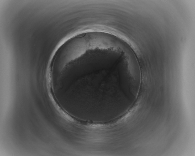 X0000111641522200907171536