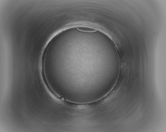 X0000111641523200907171536