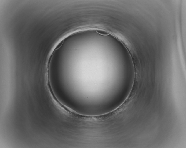 X0000111641524200907171536