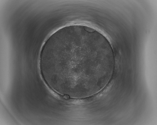 X0000111641525200907171536