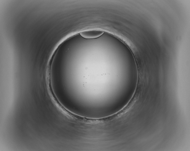 X0000111641526200907171537