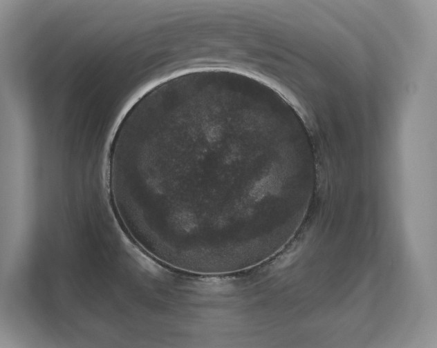 X0000111641527200907171537
