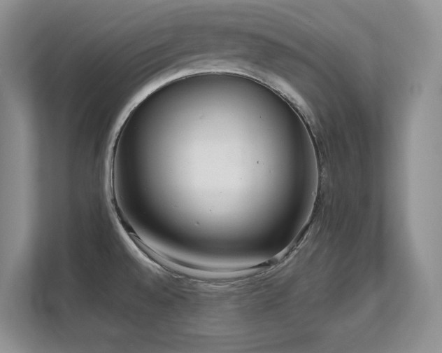 X0000111641528200907171537