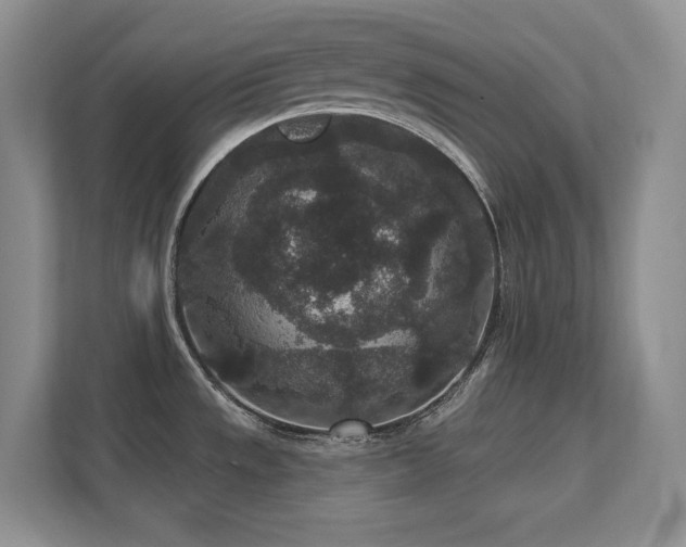 X0000111641533200907171537