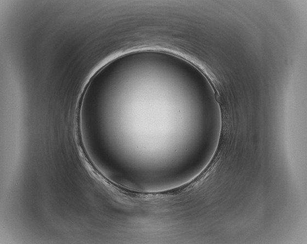 X0000111641534200907171537