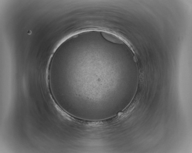 X0000111641535200907171537