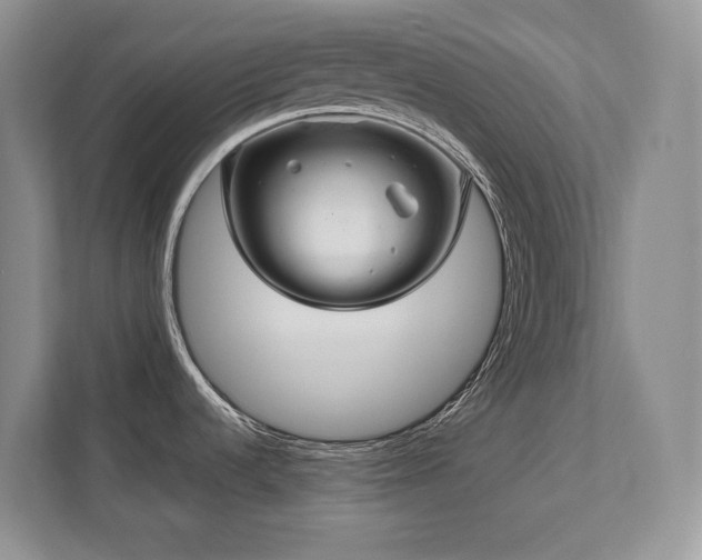 X0000111641536200907171537