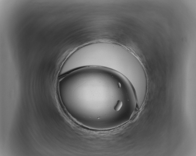 X0000111640001200907241120