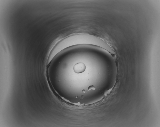 X0000111640003200907241120