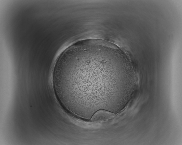 X0000111640004200907241120