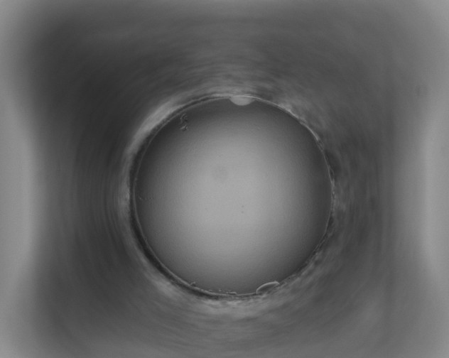 X0000111640005200907241120