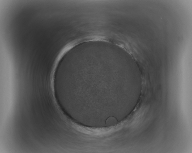 X0000111640006200907241120