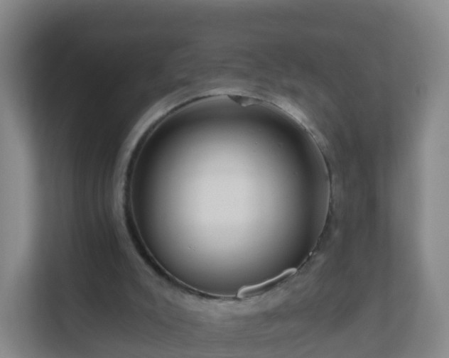 X0000111640007200907241120