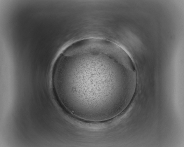 X0000111640008200907241120