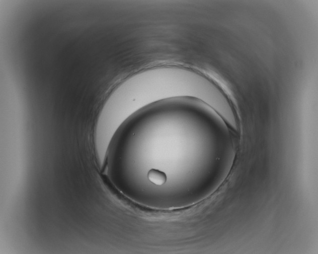 X0000111640009200907241120