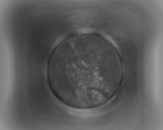 X0000111640010200907241120