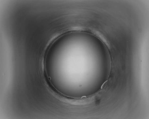 X0000111640011200907241120