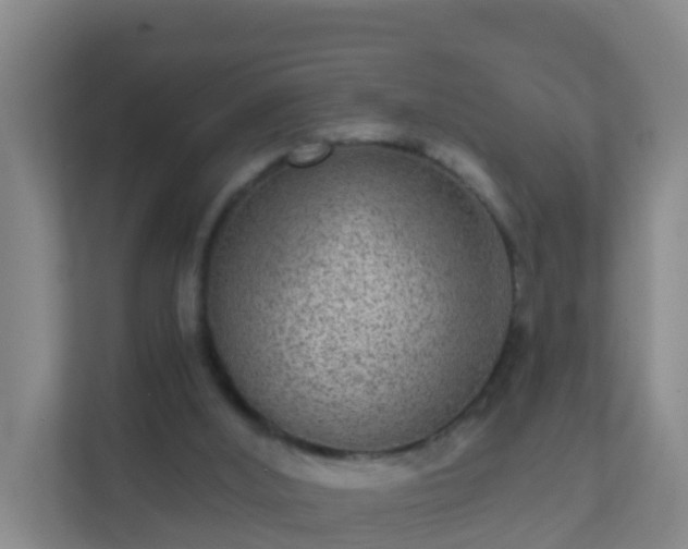 X0000111640012200907241120