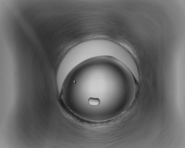 X0000111640013200907241120