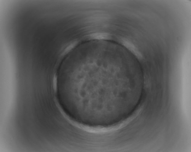 X0000111640014200907241120