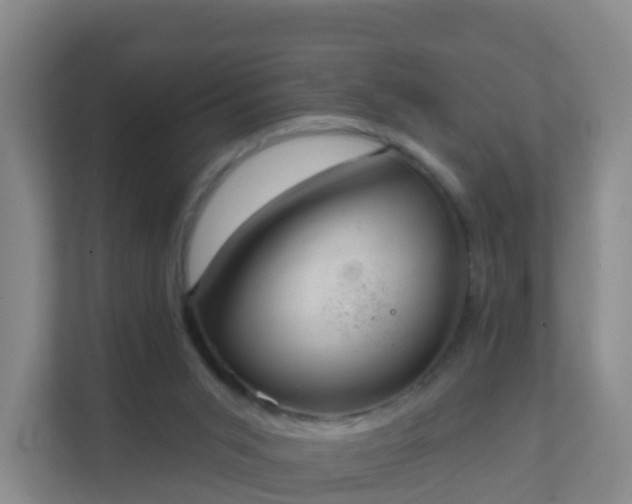 X0000111640015200907241120